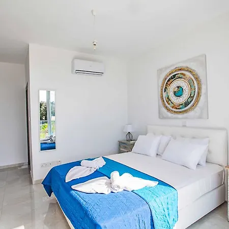 Olivine 21 *